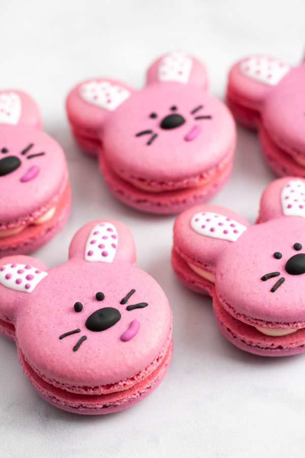 pink bunny macaron faces