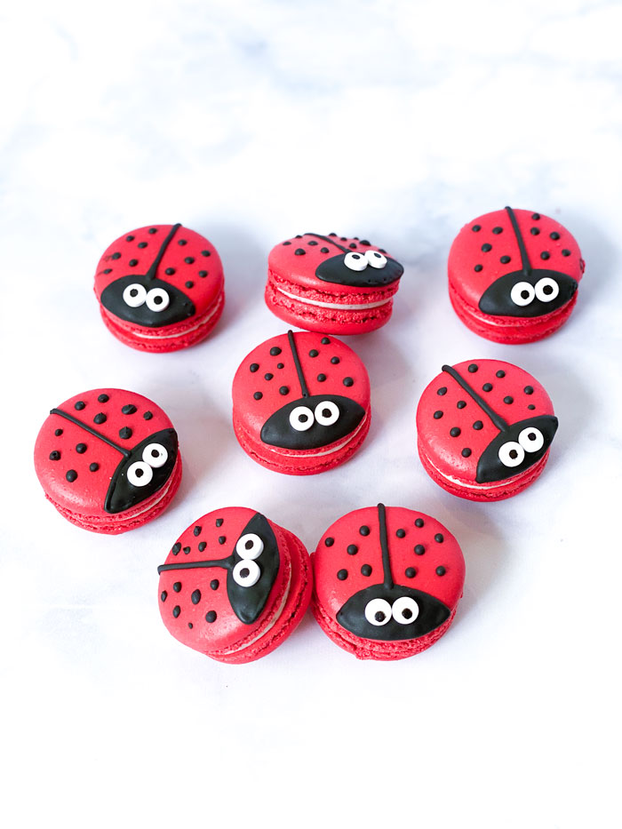 red ladybug macarons with white background