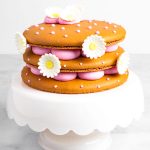 brown macaron cake with pink buttercream and daisy decorations