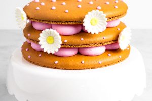 Macaron Cake