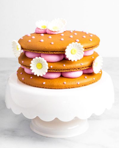 Macaron Cake