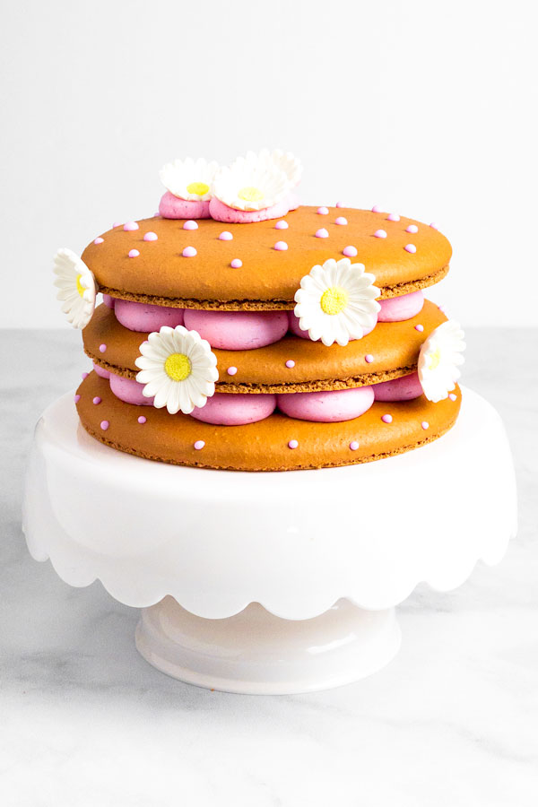 brown macaron cake with pink buttercream and daisy decorations