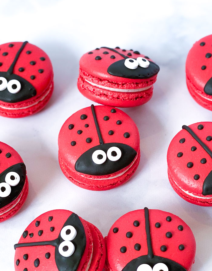 red ladybug macarons with white background