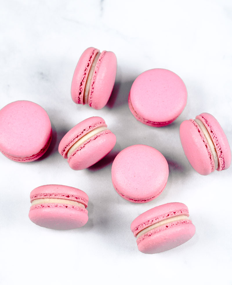 pink vanilla macarons on white background